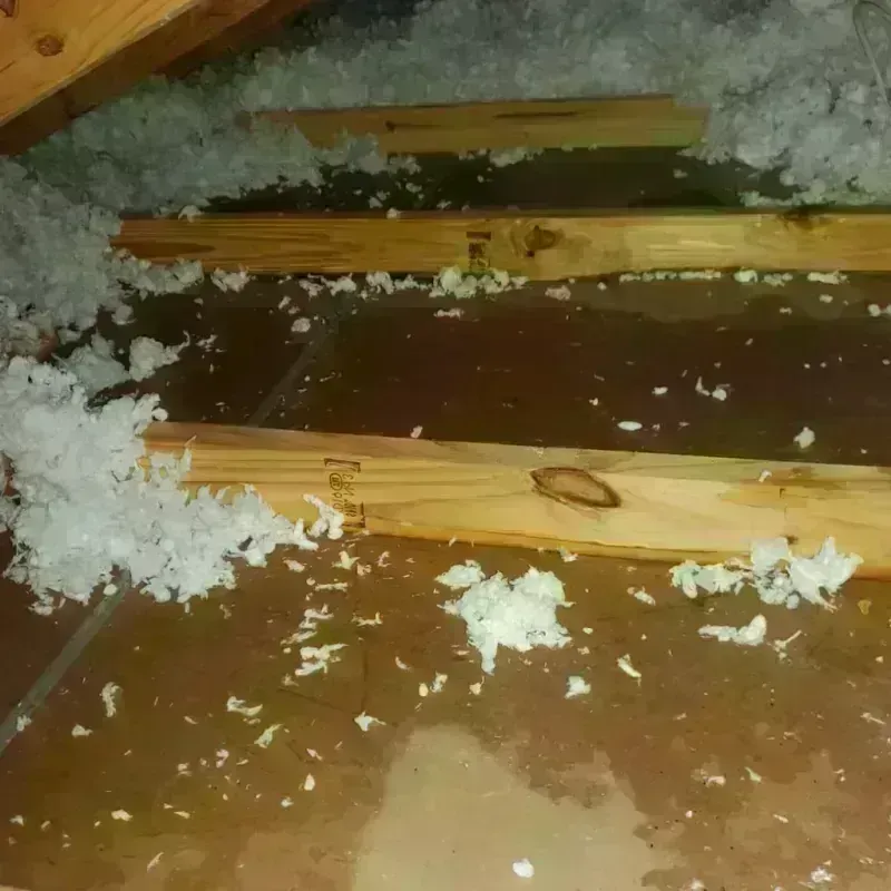 Attic Water Damage in Denton, TX