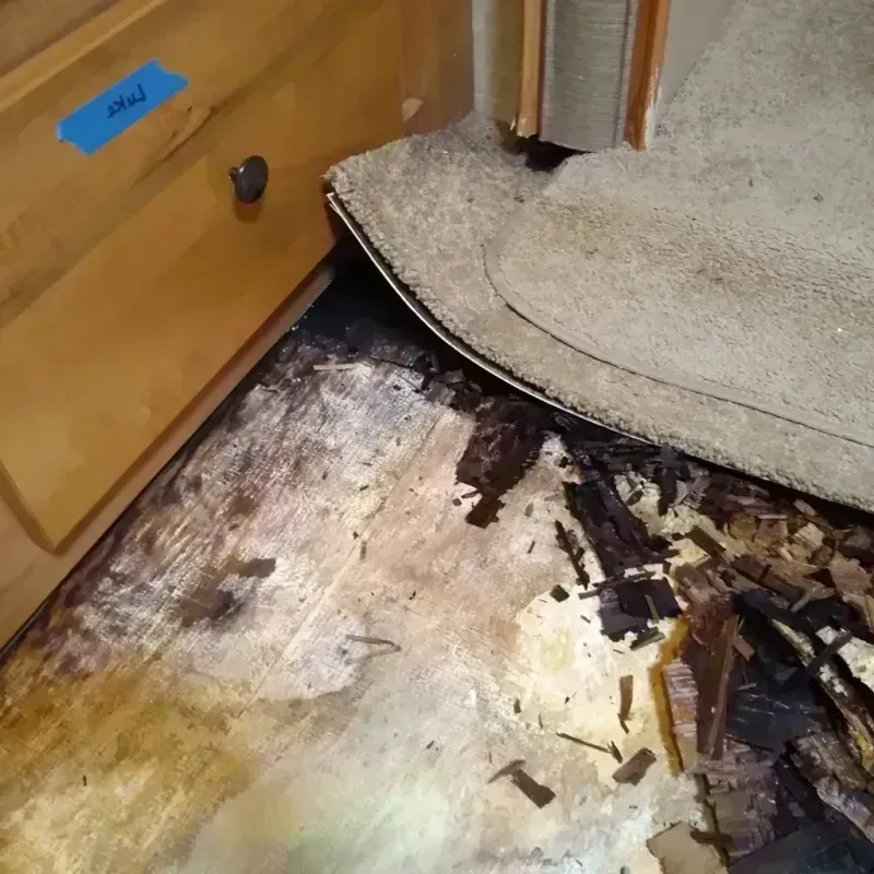 Wood Floor Water Damage in Denton, TX